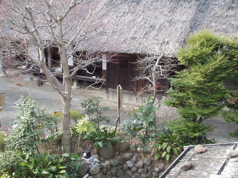 img0036.jpg
