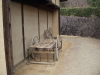 img0019.jpg