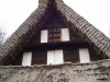 img0021.jpg