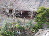 img0036.jpg