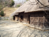 img0048.jpg