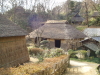 img0055.jpg