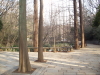 img0066.jpg