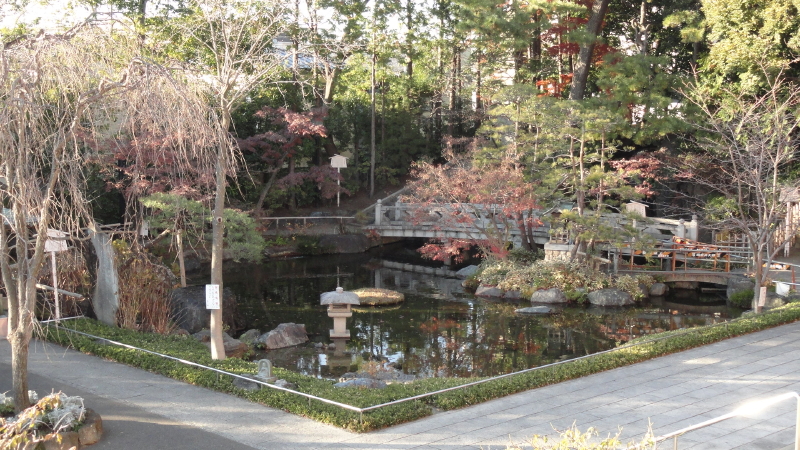 img0007.jpg