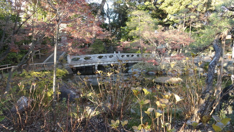 img0014.jpg