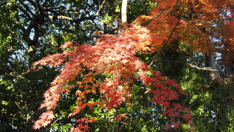 img0015.jpg