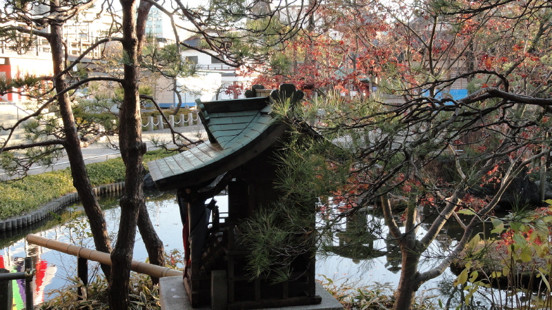 img0017.jpg