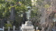 img0006.jpg