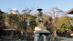 img0008.jpg