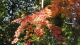img0015.jpg