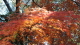 img0016.jpg