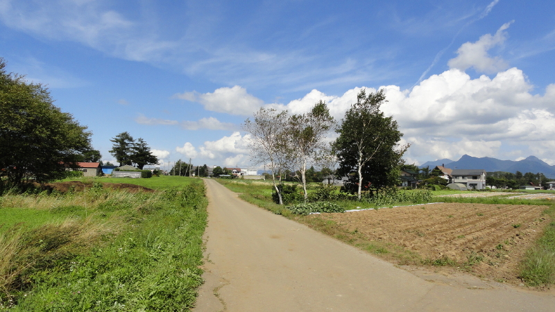 img0029.jpg