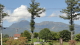 img0011.jpg