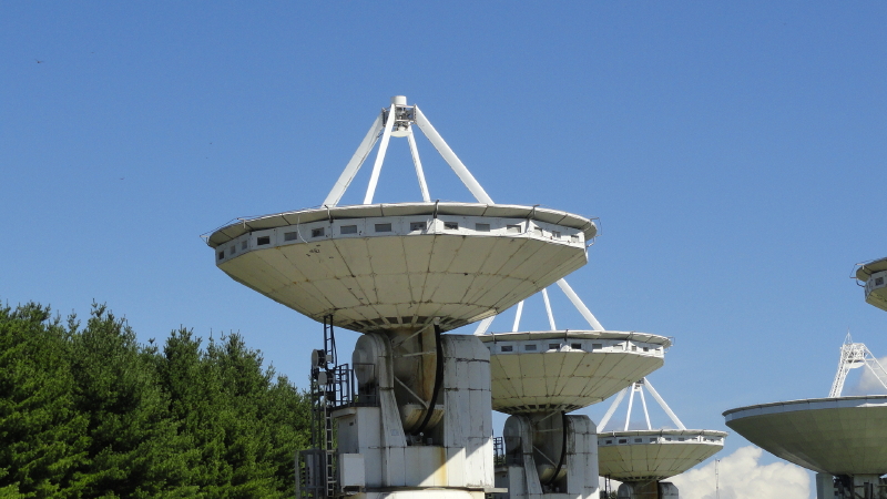 img0008.jpg