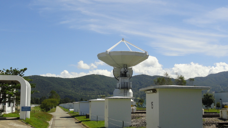 img0017.jpg