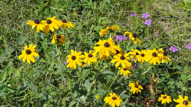 img0055.jpg