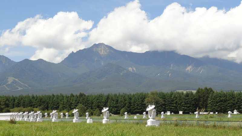 img0074.jpg