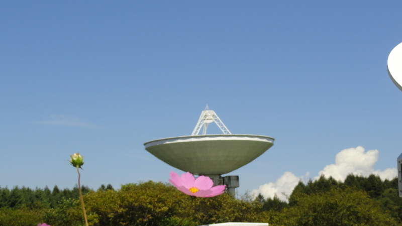 img0088.jpg