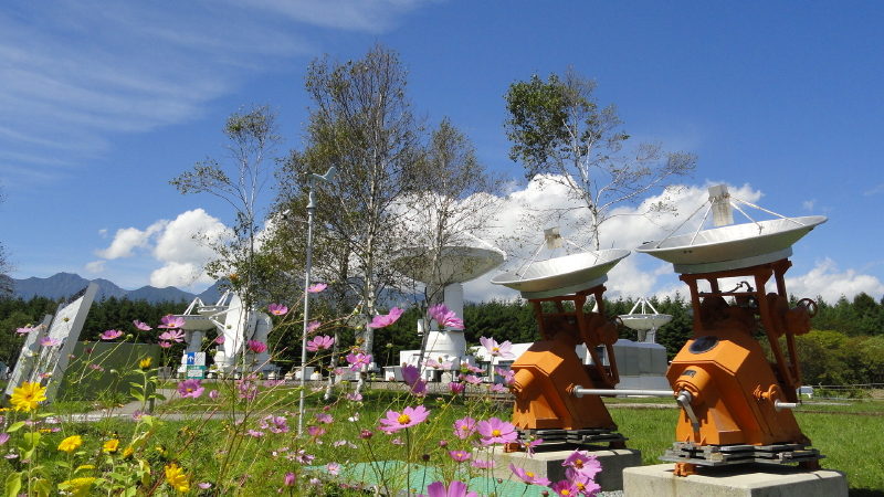 img0090.jpg