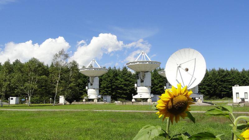 img0106.jpg