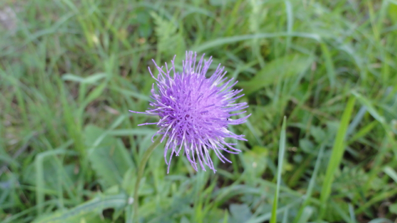 img0107.jpg