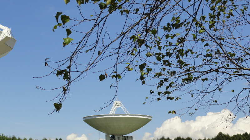 img0109.jpg