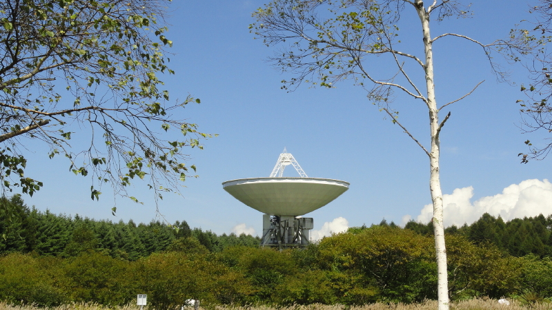 img0113.jpg