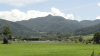 img0029.jpg