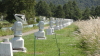 img0051.jpg