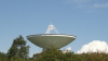 img0054.jpg