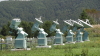img0097.jpg