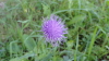 img0107.jpg