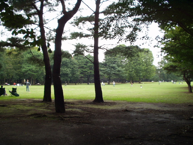 img0001.jpg