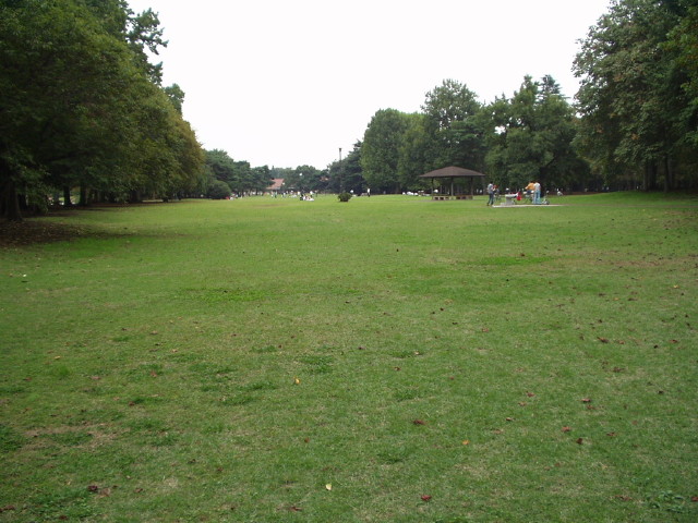 img0002.jpg