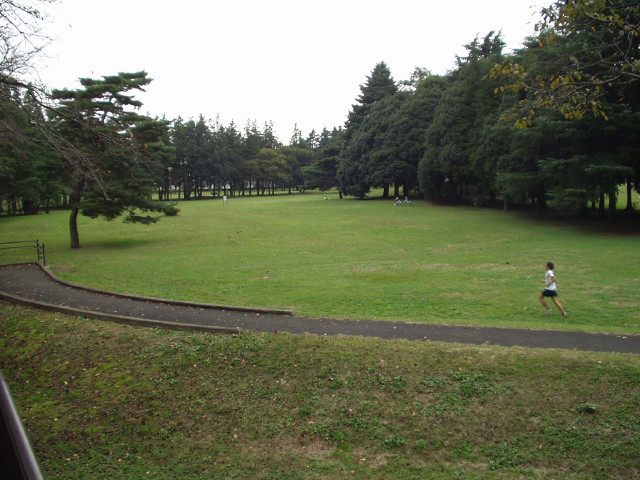 img0004.jpg