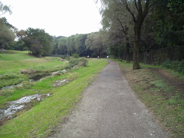 img0007.jpg