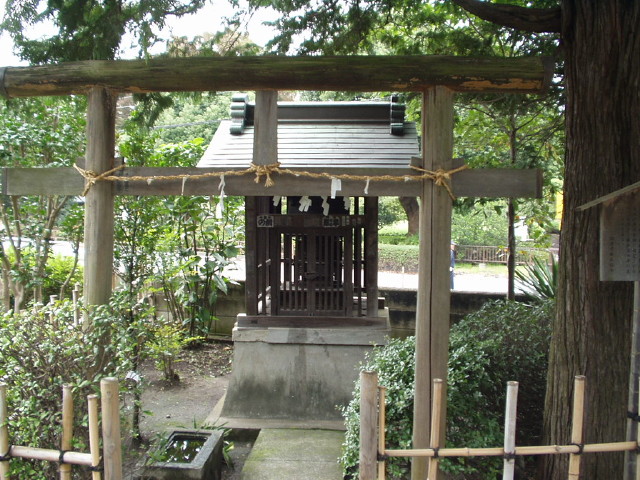 img0010.jpg