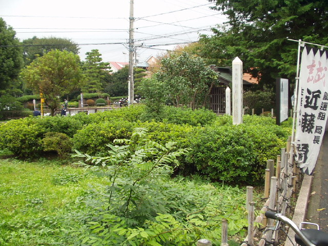 img0015.jpg