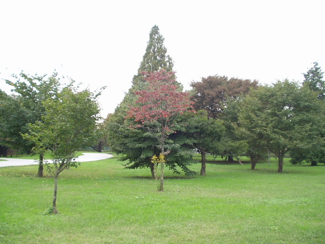 img0016.jpg