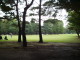 img0001.jpg
