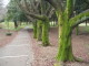 img0003.jpg