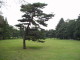 img0005.jpg
