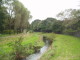 img0009.jpg