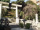 img0001.jpg