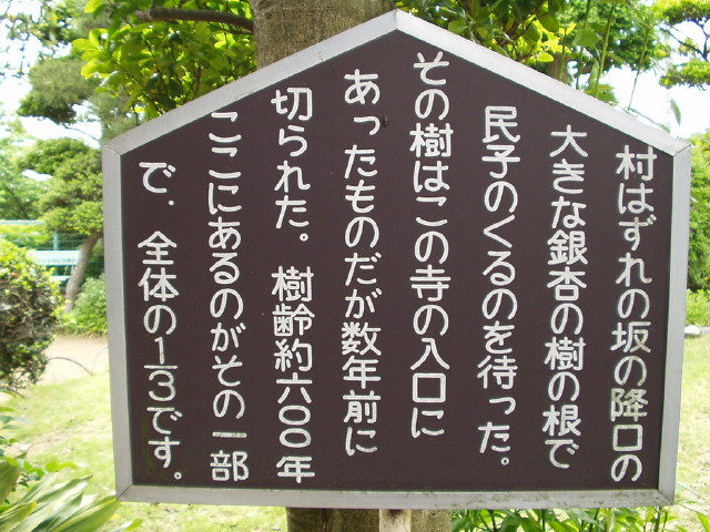 img0005.jpg