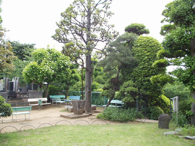 img0006.jpg