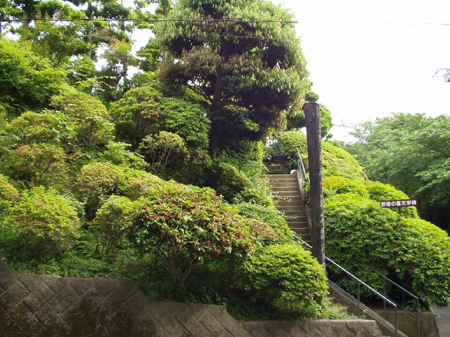 img0008.jpg