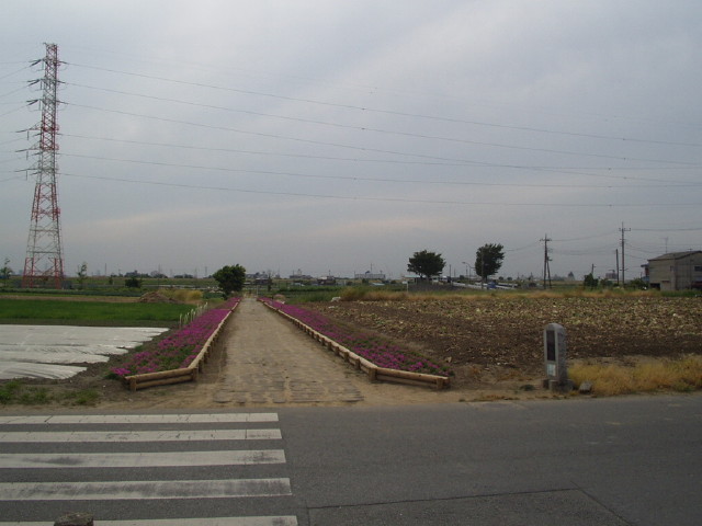 img0009.jpg