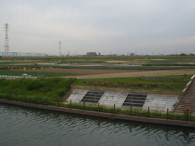 img0010.jpg