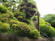 img0008.jpg